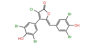 Rubrolide B